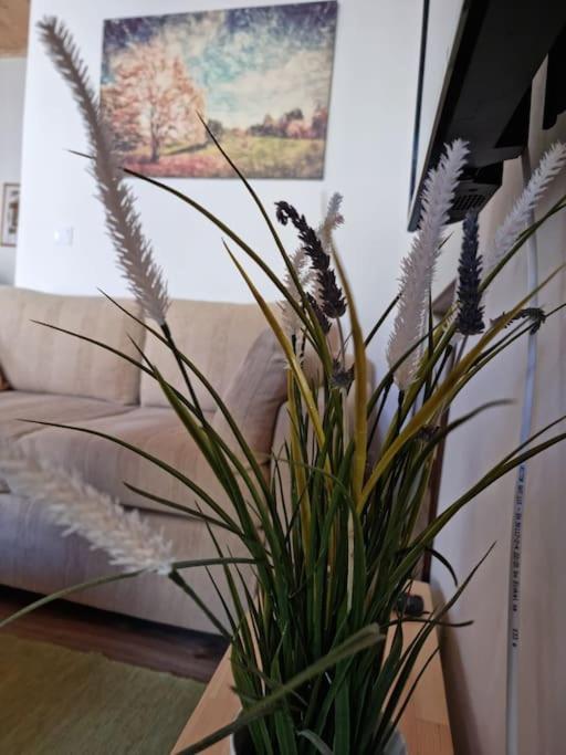 גיתיו Gs Home מראה חיצוני תמונה