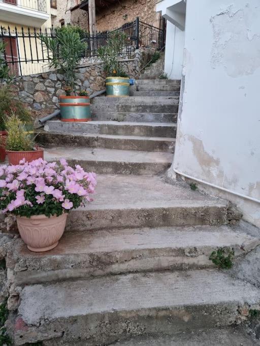 גיתיו Gs Home מראה חיצוני תמונה